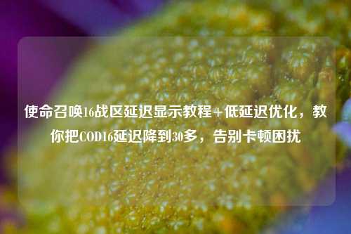 使命召唤16战区延迟显示教程+低延迟优化,教你把COD16延迟降到30多,告别卡顿困扰