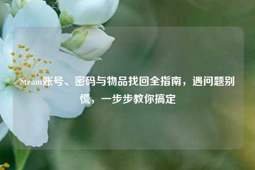Steam账号、密码与物品找回全指南,遇问题别慌,一步步教你搞定