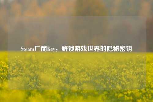 Steam厂商Key,解锁游戏世界的隐秘密钥