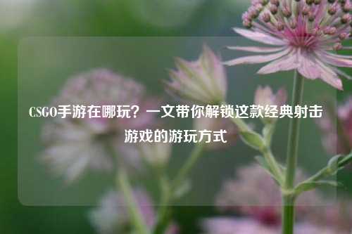 CSGO手游在哪玩?一文带你解锁这款经典射击游戏的游玩方式