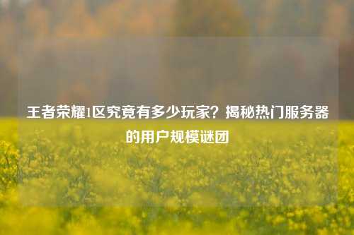 王者荣耀1区究竟有多少玩家?揭秘热门服务器的用户规模谜团