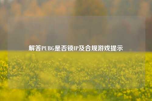 解答PUBG是否锁IP及合规游戏提示