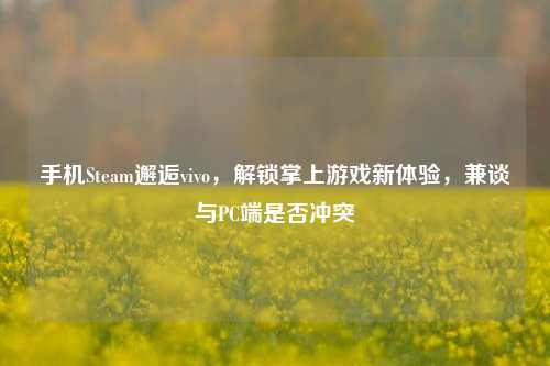 手机Steam邂逅vivo,解锁掌上游戏新体验,兼谈与PC端是否冲突