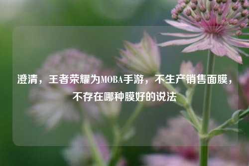 澄清,王者荣耀为MOBA手游,不生产销售面膜,不存在哪种膜好的说法