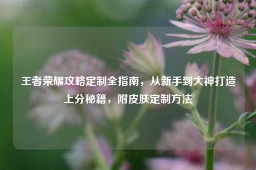王者荣耀攻略定制全指南,从新手到大神打造上分秘籍,附皮肤定制