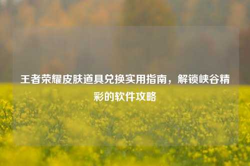 王者荣耀皮肤道具兑换实用指南,解锁峡谷精彩的软件攻略