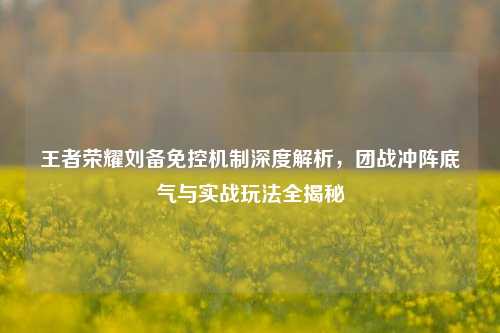 王者荣耀刘备免控机制深度解析,团战冲阵底气与实战玩法全揭秘