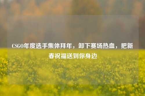 CSGO年度选手集体拜年,卸下赛场热血,把新春祝福送到你身边
