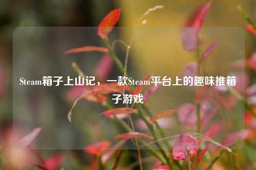 Steam箱子上山记,一款Steam平台上的趣味推箱子游戏