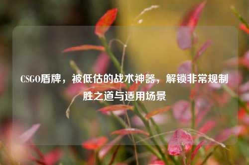 CSGO盾牌,被低估的战术神器,解锁非常规制胜之道与适用场景