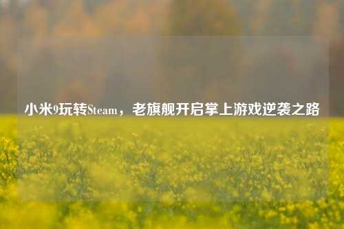 小米9玩转Steam,老旗舰开启掌上游戏逆袭之路