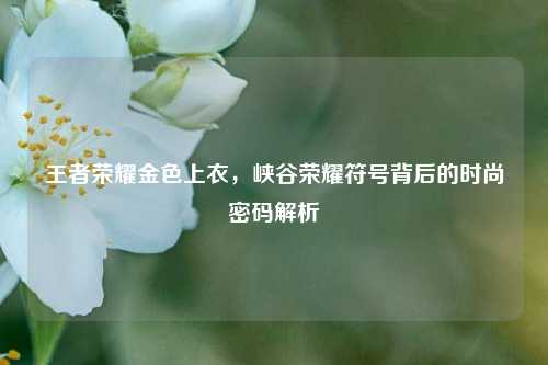 王者荣耀金色上衣,峡谷荣耀符号背后的时尚密码解析