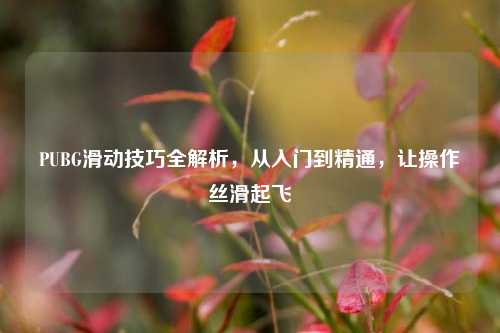 PUBG滑动技巧全解析,从入门到精通,让操作丝滑起飞