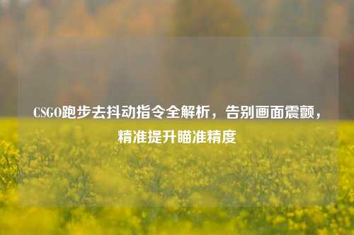 CSGO跑步去抖动指令全解析,告别画面震颤,精准提升瞄准精度