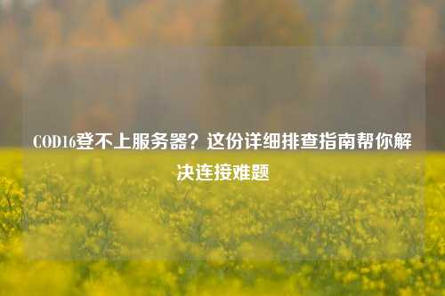 COD16登不上服务器?这份详细排查指南帮你解决连接难题