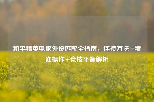 和平精英电脑外设匹配全指南,连接 +精准操作+竞技平衡解析