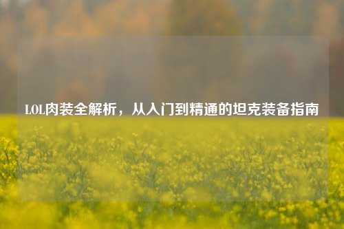 LOL肉装全解析,从入门到精通的坦克装备指南