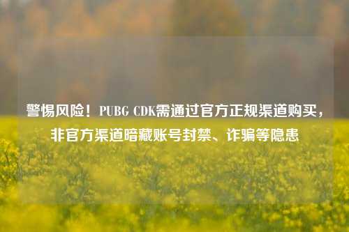 警惕风险!PUBG CDK需通过官方正规渠道购买,非官方渠道暗藏账号封禁、诈骗等隐患