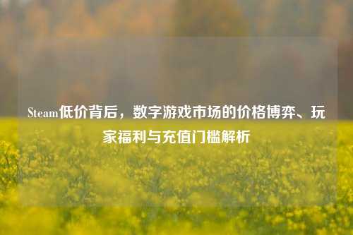 Steam低价背后,数字游戏市场的价格博弈、玩家福利与充值门槛解析