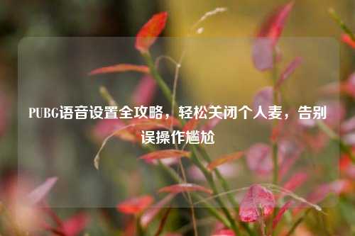 PUBG语音设置全攻略,轻松关闭个人麦,告别误操作尴尬