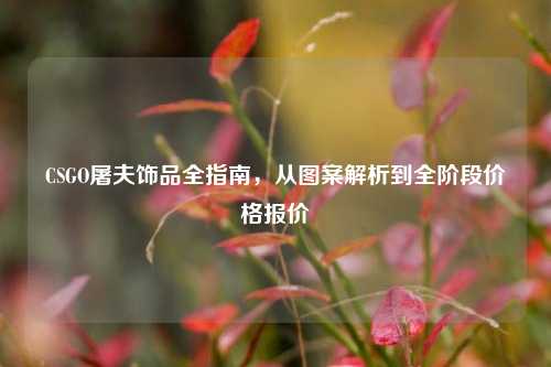 CSGO屠夫饰品全指南,从图案解析到全阶段价格报价