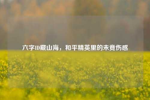 六字ID藏山海,和平精英里的未竟伤感