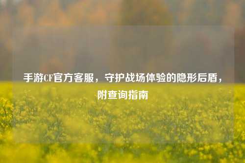 手游CF官方 ,守护战场体验的隐形后盾,附查询指南