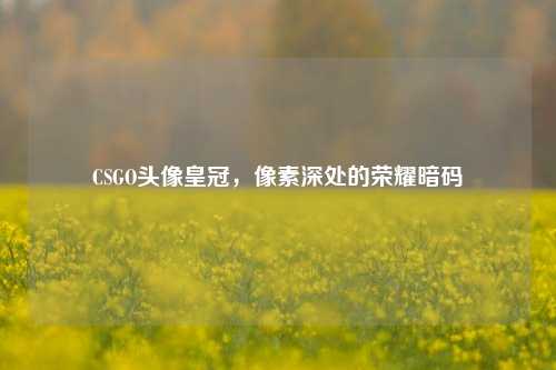 CSGO头像皇冠,像素深处的荣耀暗码