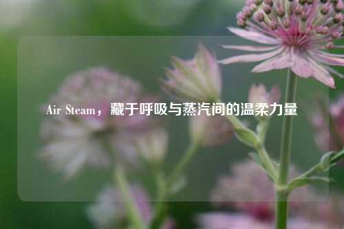 Air Steam,藏于呼吸与蒸汽间的温柔力量