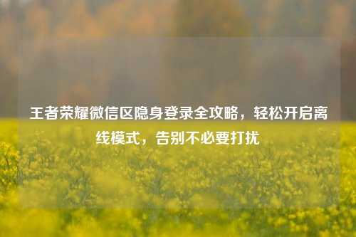 王者荣耀微信区隐身登录全攻略,轻松开启离线模式,告别不必要打扰