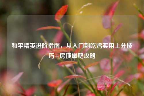和平精英进阶指南,从入门到吃鸡实用上分技巧+房顶攀爬攻略