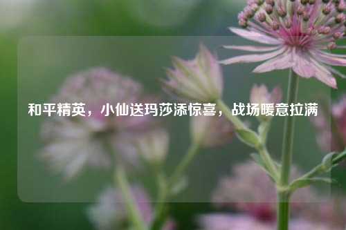 和平精英,小仙送玛莎添惊喜,战场暖意拉满
