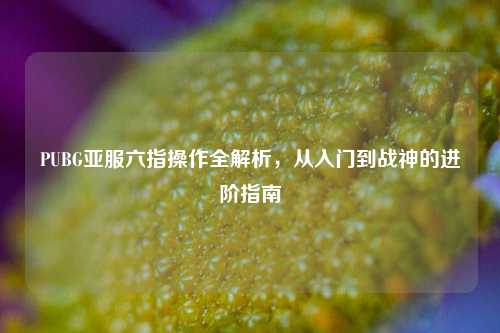 PUBG亚服六指操作全解析,从入门到战神的进阶指南