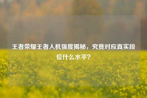 王者荣耀王者人机强度揭秘,究竟对应真实段位什么水平?