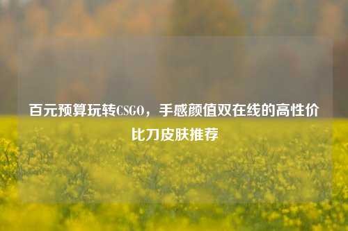 百元预算玩转CSGO,手感颜值双在线的高性价比刀皮肤推荐