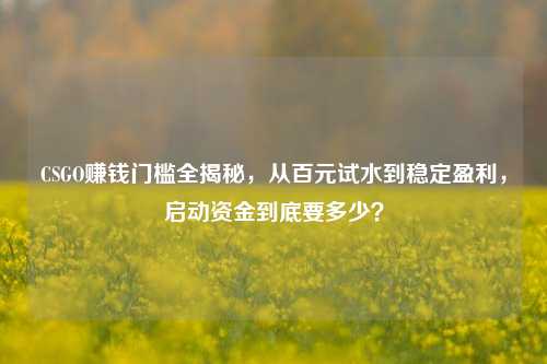 CSGO赚钱门槛全揭秘,从百元试水到稳定盈利,启动资金到底要多少?