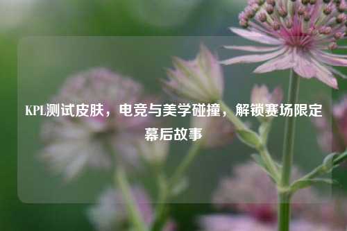 KPL测试皮肤,电竞与美学碰撞,解锁赛场限定幕后故事