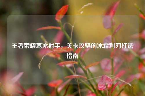 王者荣耀寒冰射手,关卡攻坚的冰霜利刃打法指南