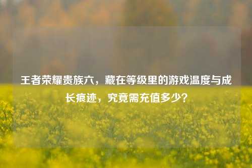 王者荣耀贵族六,藏在等级里的游戏温度与成长痕迹,究竟需充值多少?