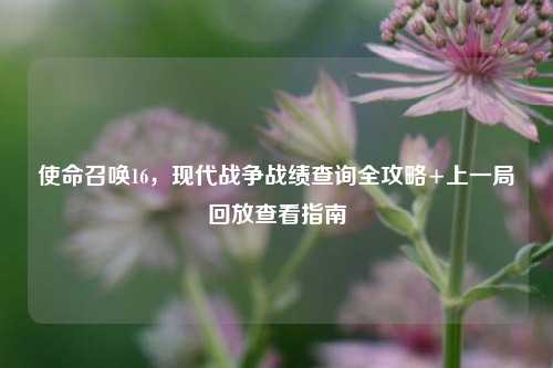 使命召唤16,现代战争战绩查询全攻略+上一局回放查看指南