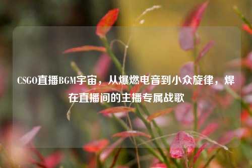 CSGO直播BGM宇宙,从爆燃电音到小众旋律,焊在直播间的主播专属战歌
