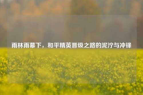 雨林雨幕下,和平精英晋级之路的泥泞与冲锋
