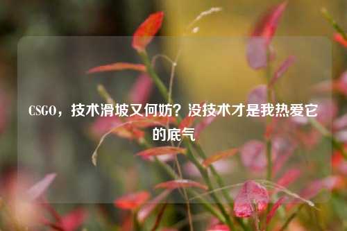 CSGO,技术滑坡又何妨?没技术才是我热爱它的底气