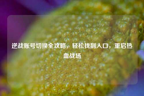 逆战账号切换全攻略,轻松找到入口,重启热血战场