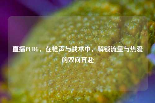 直播PUBG,在枪声与战术中,解锁流量与热爱的双向奔赴