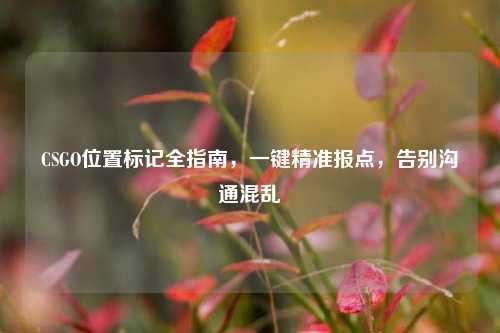 CSGO位置标记全指南,一键精准报点,告别沟通混乱