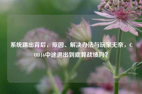 系统踢出背后,原因、解决办法与玩家无奈,COD16中途退出到底算战绩吗?