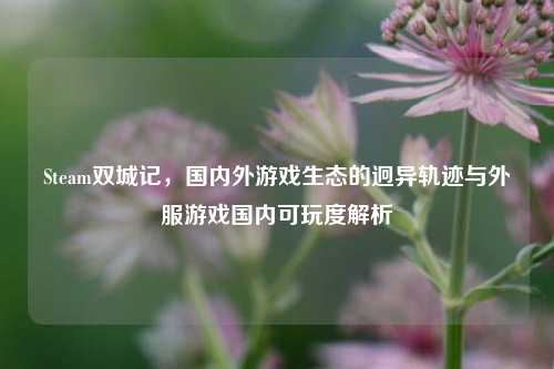 Steam双城记,国内外游戏生态的迥异轨迹与外服游戏国内可玩度解析
