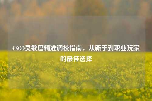 CSGO灵敏度精准调校指南,从新手到职业玩家的更佳选择