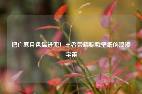 把广寒月色揣进兜!王者荣耀嫦娥壁纸的浪漫宇宙